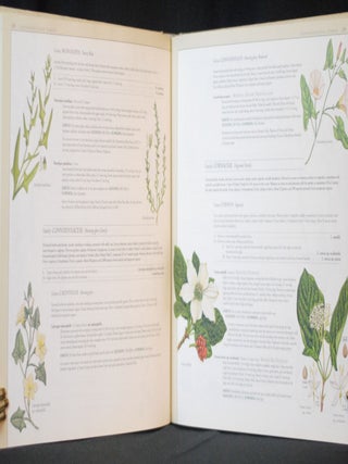 An Illustrated Flora of Yosemite National Park