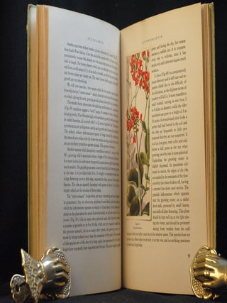 Poems on Several Occassions. Written by Dr. Thomas Parnell, Late Archdeacon of Clogher: and published by Mr. Pope. With the Life of Zoilus: and his Remarks on Homer's Battle of the Frogs and Mice. To which is prefixed, The Life of Dr. Parnell, Written by Dr. Goldsmith.