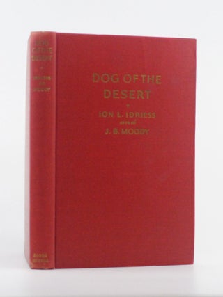 Dog of the Desert