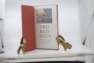 Two Bad Ants